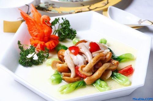 天府楼魔力菌菇