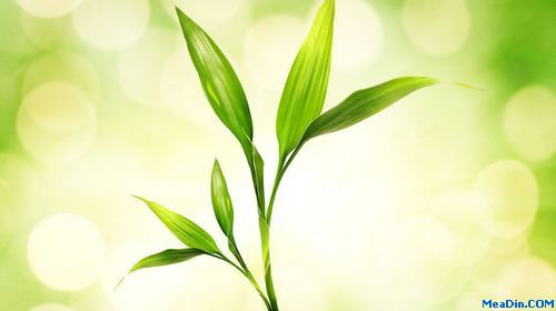 吃掉企业利润的六种黑洞