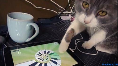 What Does‘iPad Revolution’Mean for Hotel Guests？