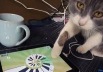 What Does‘iPad Revolution’Mean for Hotel Guests？‎