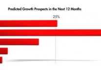 Abacus Asia Travel Insights 2011：The Importance of Value-Driven Technology