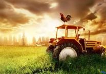 Amex Makes 2012 Rate Predictions