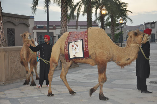 清远狮子湖喜来登度假酒店庆祝喜来登品牌75周年—阿拉伯之夜