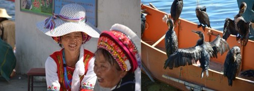 大理行：考察高原湖海、度假胜地的高星酒店