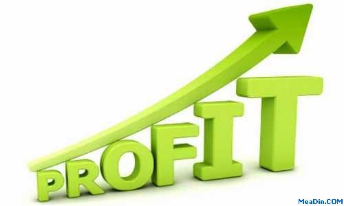 STR Reports On 2011 Global Profitability