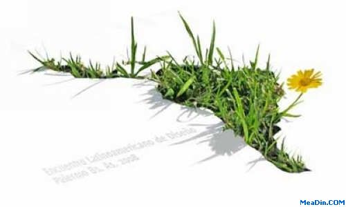 H1 ADR Up Most In Latin America: HRG