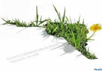 H1 ADR Up Most In Latin America: HRG