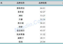 2013年1月中国酒店业品牌发展报告（国际品牌）