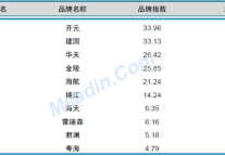 2013年1月中国酒店业品牌发展报告(国内)
