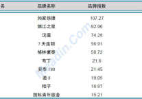 2013年1月中国酒店业品牌发展报告（经济型）
