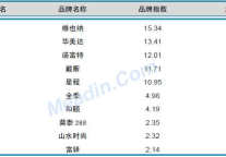 2013年1月中国酒店业品牌发展报告（中档）