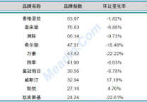2013年2月中国酒店业品牌发展报告（国际品牌）