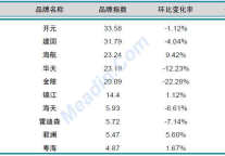 2013年2月中国酒店业品牌发展报告(国内)