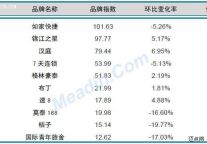 2013年2月中国酒店业品牌发展报告（经济型）
