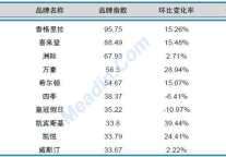 2013年3月中国酒店业品牌发展报告（国际品牌）
