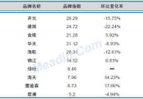 2013年3月中国酒店业品牌发展报告(国内)