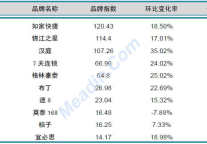 2013年3月中国酒店业品牌发展报告(经济型)