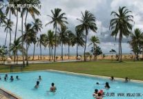 中青旅2012年盈利2.95亿 同比增10%