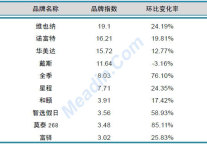 2013年3月中国酒店业品牌发展报告（中档）