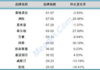 2013年4月中国酒店业品牌发展报告（国际品牌）