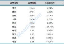 2013年4月中国酒店业品牌发展报告(国内)
