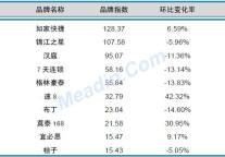 2013年4月经济型酒店业品牌发展报告