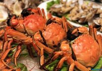 长春开元名都海鲜美食节邀您尝鲜