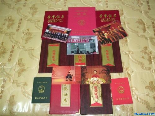 丁学玉所获部分证书