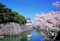 吾爱旅游网：日本传统文化豪华5晚6天游