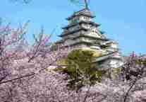 吾爱旅游网：日本本州赏樱六日游