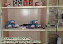 中醇能醇基汽油智能转换系统引爆火热商机