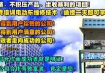 铁骆驼蓄电池修复设备 因为专注所以专业