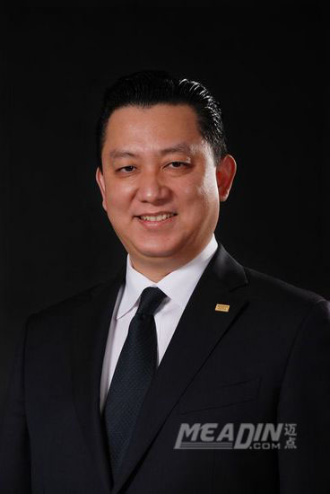 新任副总经理 仰平
