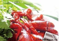 “舌行”天下：酒店与餐饮业食品安全归处