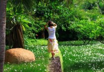 端午节 我和葱兰花有个约会