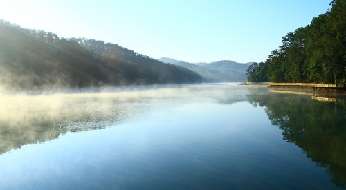 酒店随景之梅子晨曦