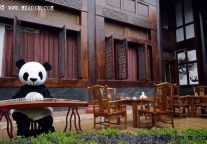 World’s First Panda Hotel Opens In China 
