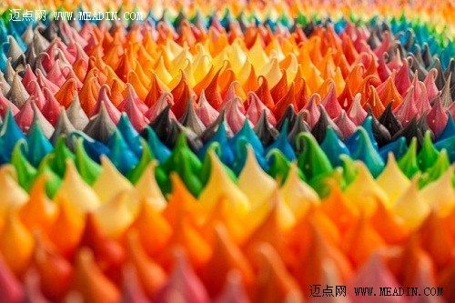 用1081个蛋白糖饼制成的地毯