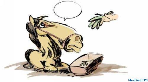 职场“回头草”吃还是不吃？
