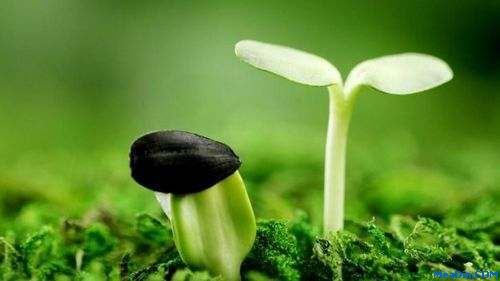 领导如何做到信任管理？