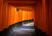 赴日旅行者注意 1月7日起日本开征1000日元离境税