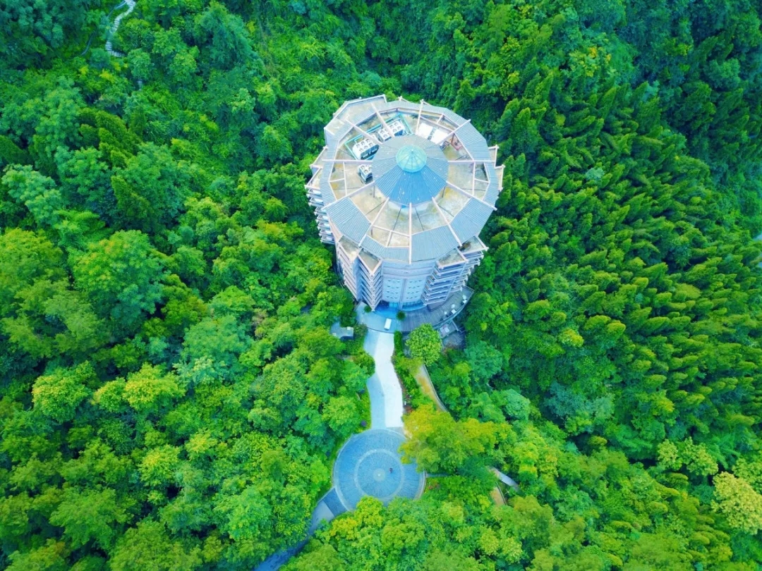 640.webp (11).jpg 640.webp (11).jpg