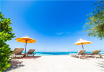 白玉兰酒店|欢乐暑期，清凉一夏