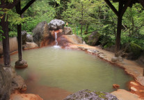 天沐温泉业绩快报：去年净利634.85万 同比增加5.24%