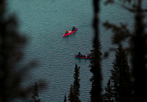 东方园林业绩快报：去年净利17.67亿元 同比下降18.87%