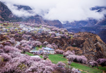 林芝恒大酒店桃花节邀您探访最美春天