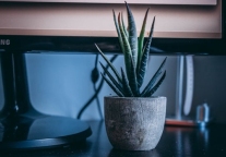 雷军豪掷26亿拿地 学董明珠为员工建公寓还是盖办公楼?