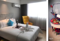 白色情人季丨白玉兰酒店带你全程热恋