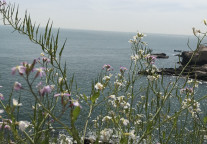 中小景区：经过疫情还没死，我们还是挺厉害的