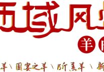 西域风情书香羊肉节鸣锣开品